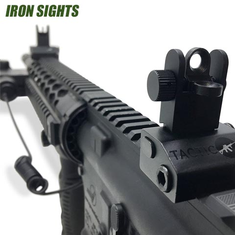 Iron Sights