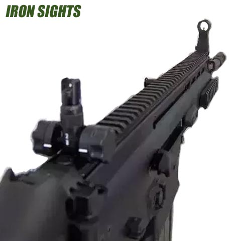 Iron Sights