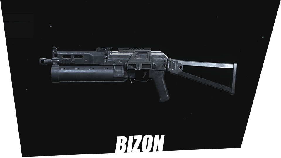 Bizon